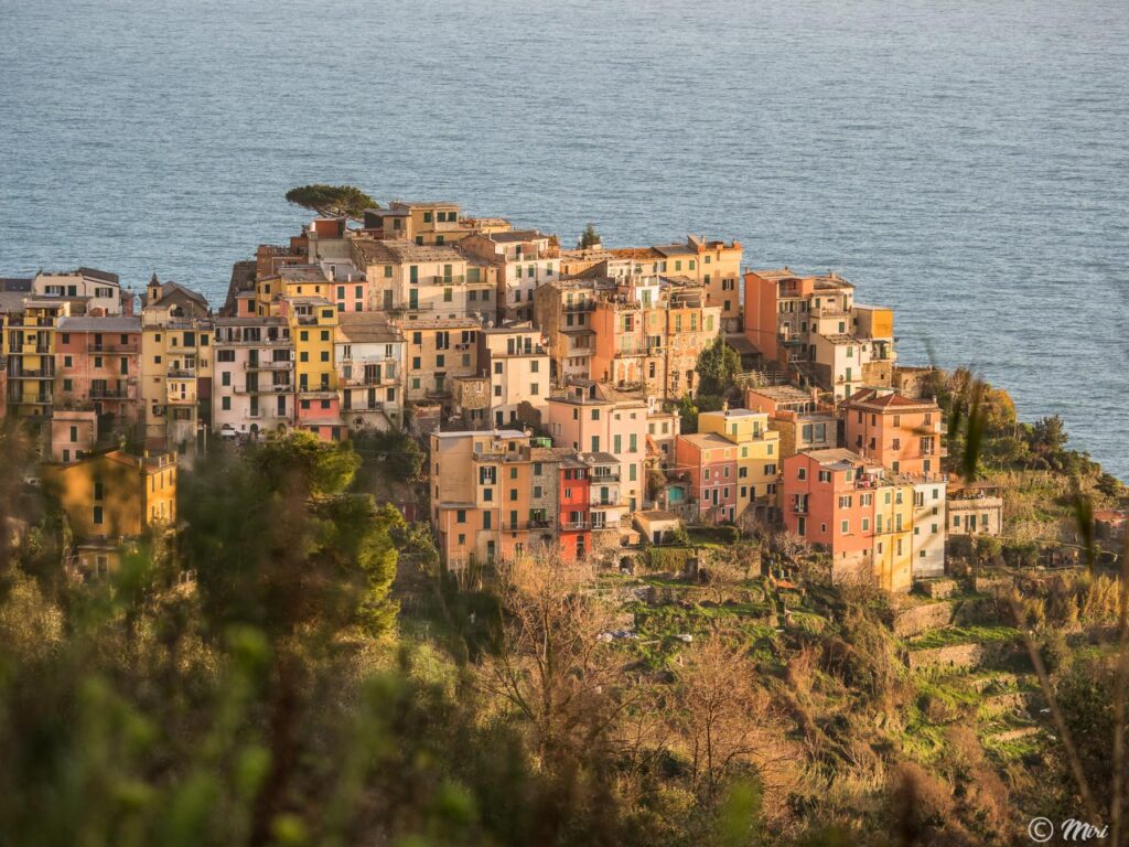 25 Days Plan in Cinque Terre Guide & Itinerary   Cinque Terre Riviera