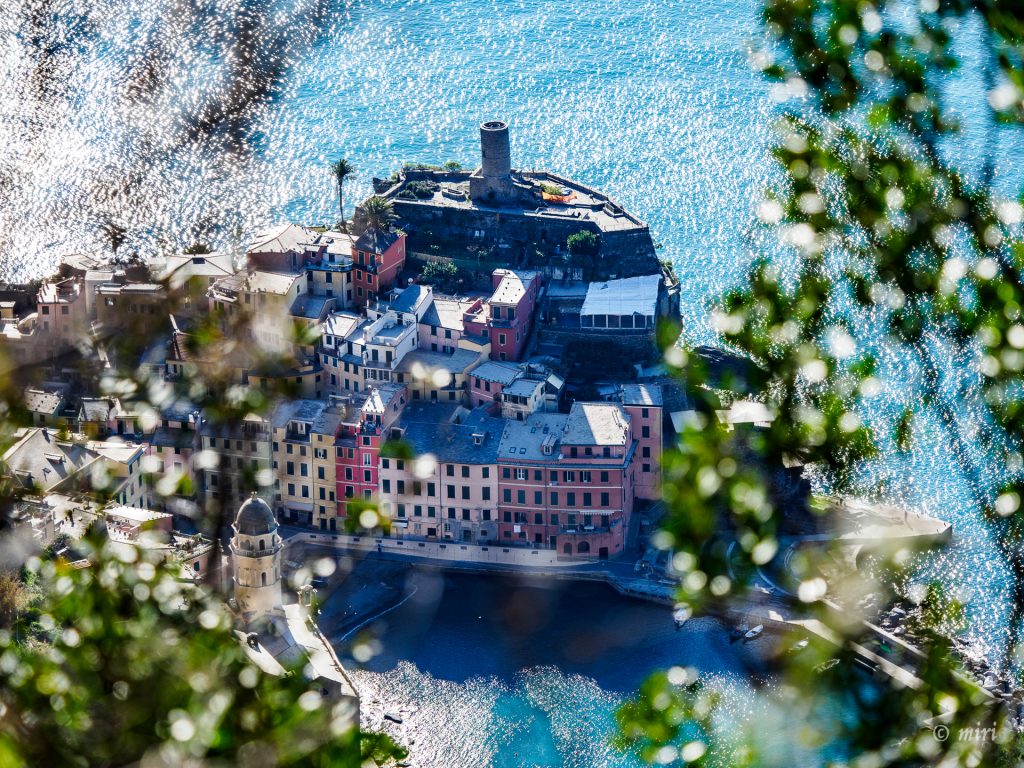 Vista aérea de Vernazza, Cinque Terre, Italia, de casas coloridas construidas a lo largo de una costa rocosa con un mar azul y un puerto, enmarcadas por vegetación borrosa en primer plano.