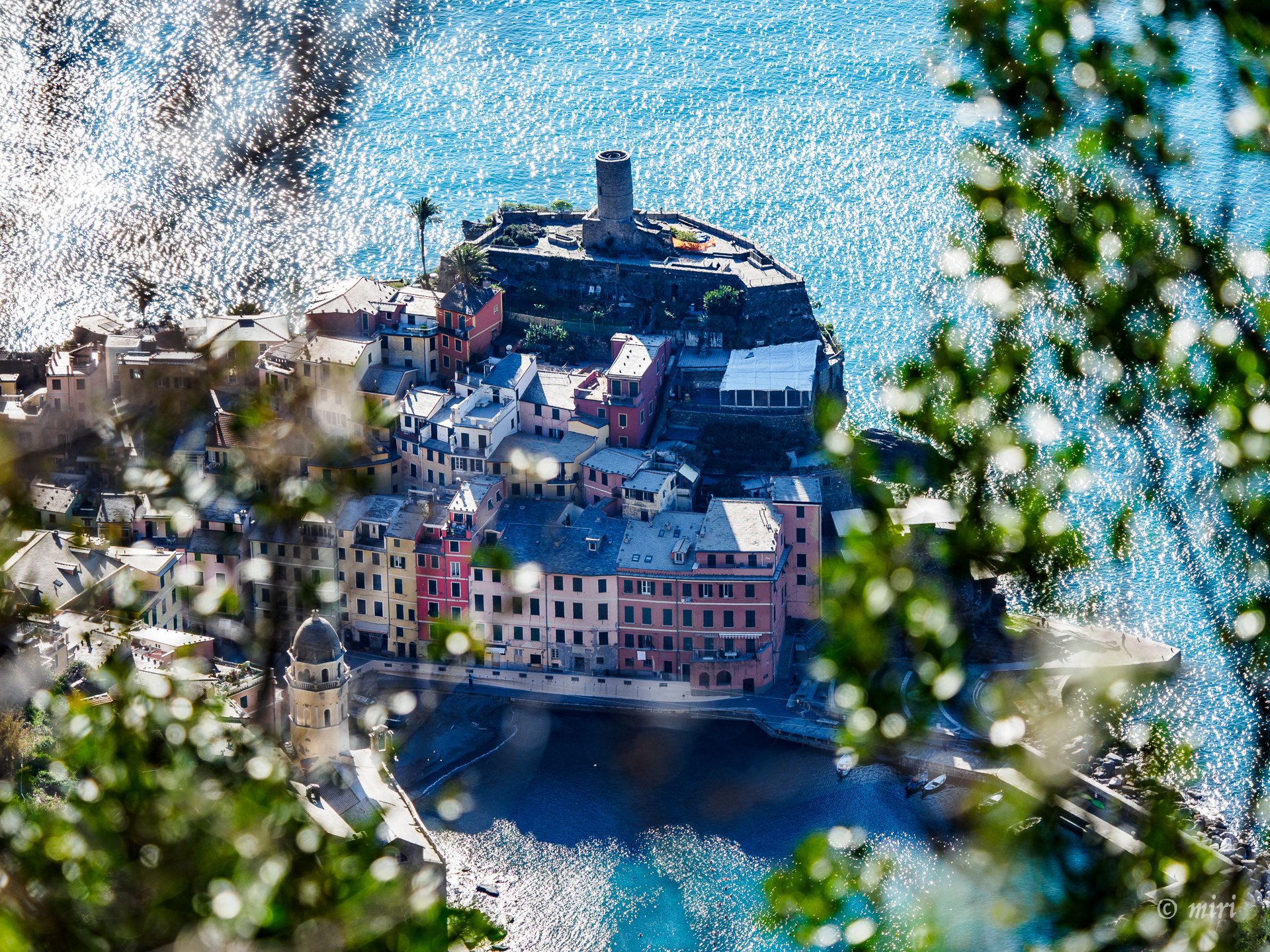 Vista aérea de Vernazza, Cinque Terre, Italia, de casas coloridas construidas a lo largo de una costa rocosa con un mar azul y un puerto, enmarcadas por vegetación borrosa en primer plano.