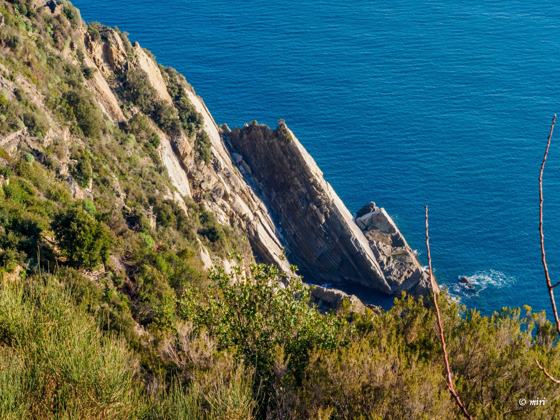 Rugosos acantilados rocosos se encuentran con el mar azul a lo largo de la costa de las Cinque Terre, con vegetación verde en primer plano y un paisaje costero despejado.