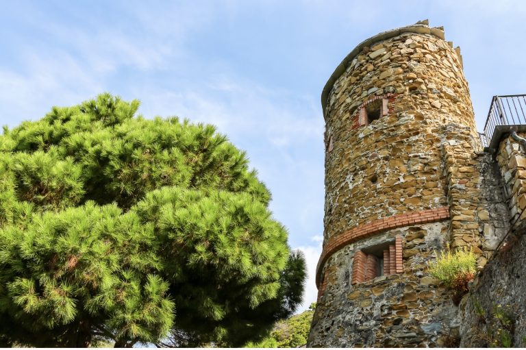 Torre de piedra redonda con detalles de ladrillo se alza junto a un denso pino verde bajo un cielo azul despejado.