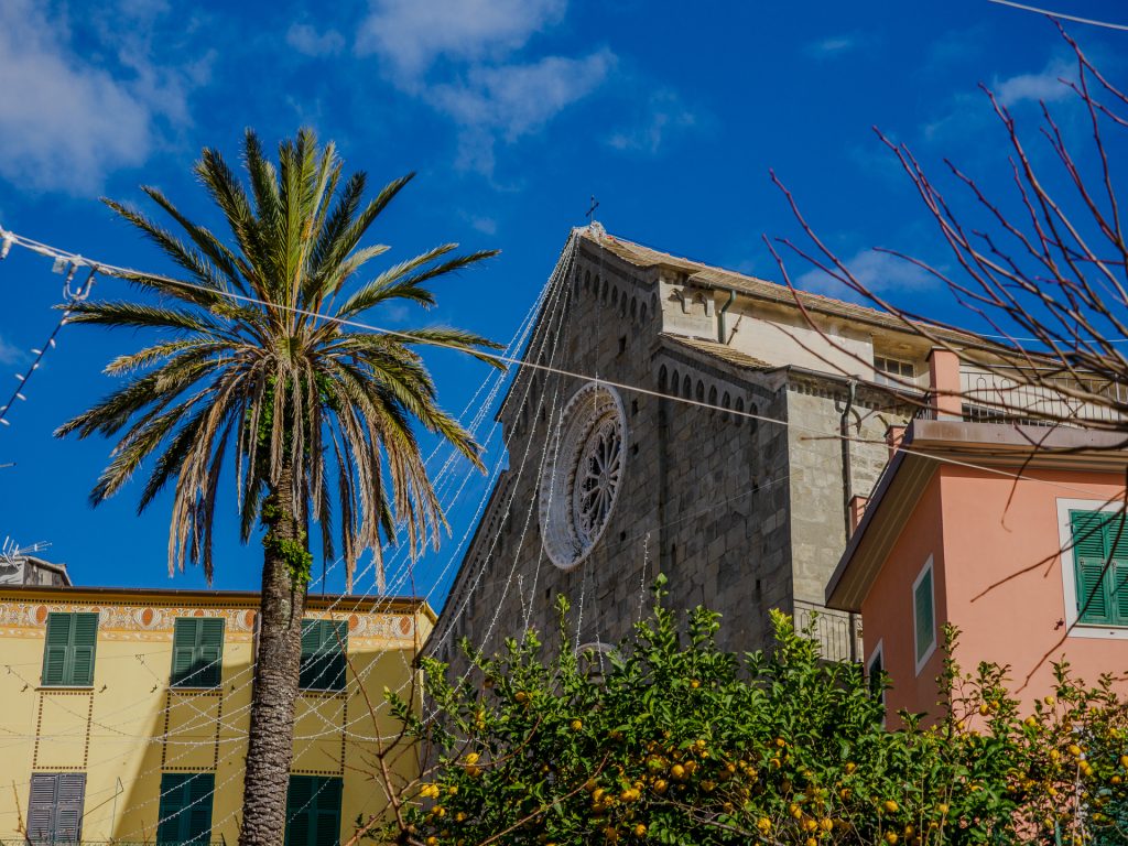 Fachada de la iglesia de Corniglia con rosetón circular, una palmera alta y edificios pasteles bajo un cielo azul brillante en Cinque Terre
