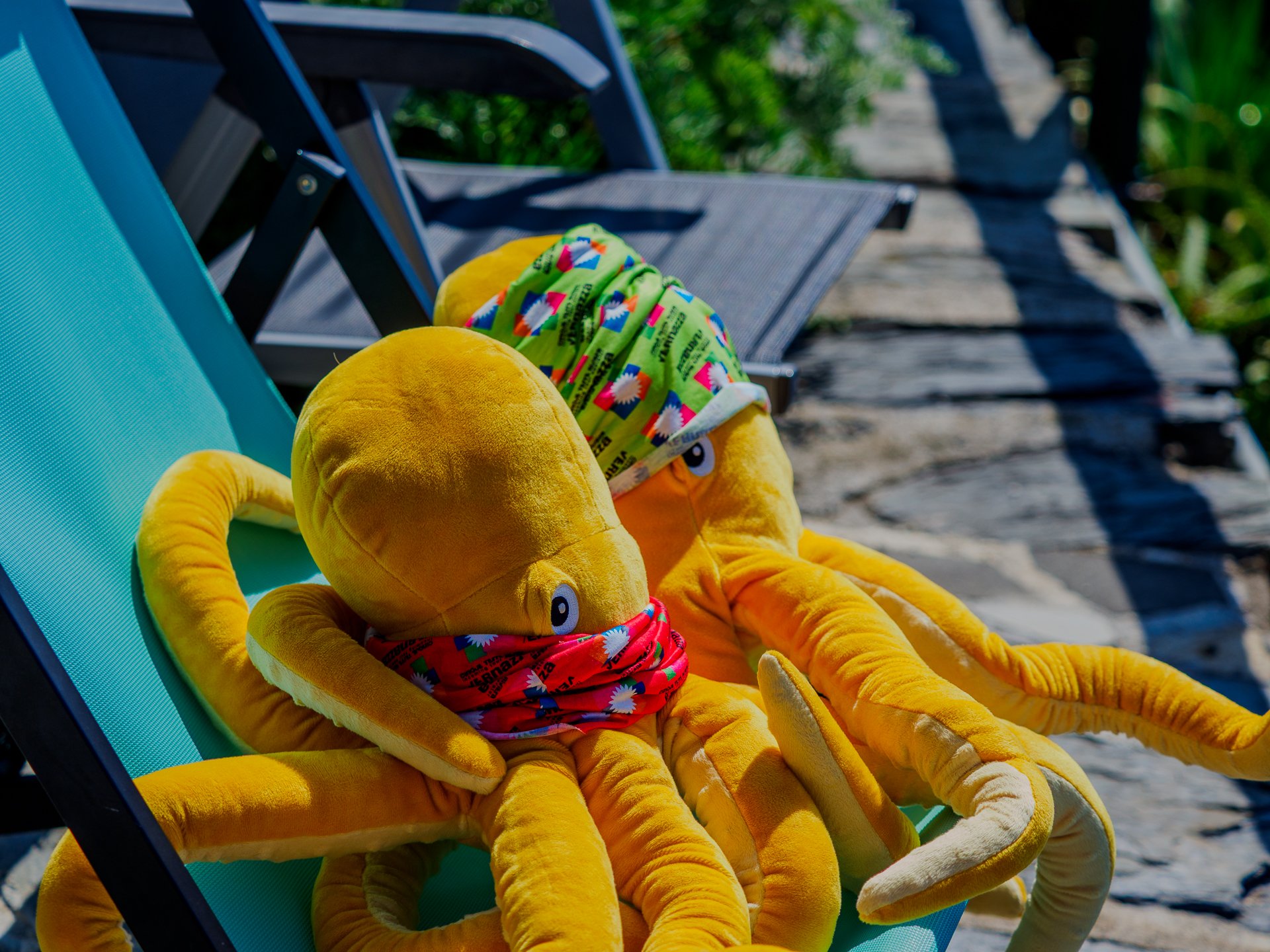 Two yellow plush octopuses wearing colorful bandanas sit on a turquoise lounge chair along a stone path, with sunlight and greenery in the background.