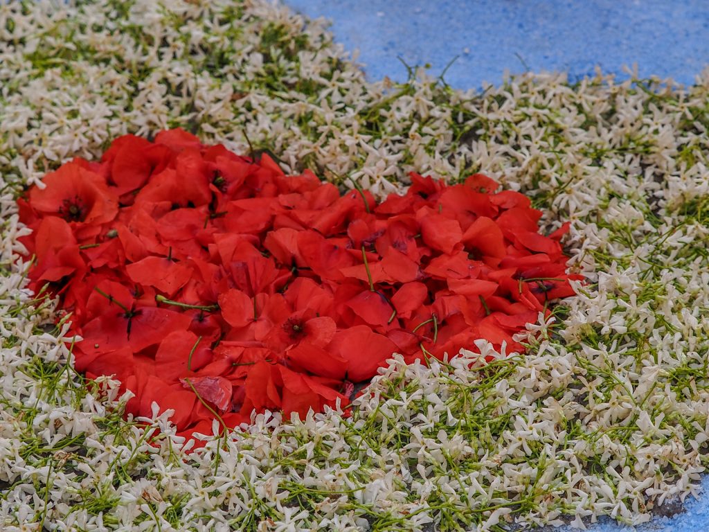 Close-up of red petals nestled within a sea of tiny white flowers on a blue surface, creating a vivid floral contrast.