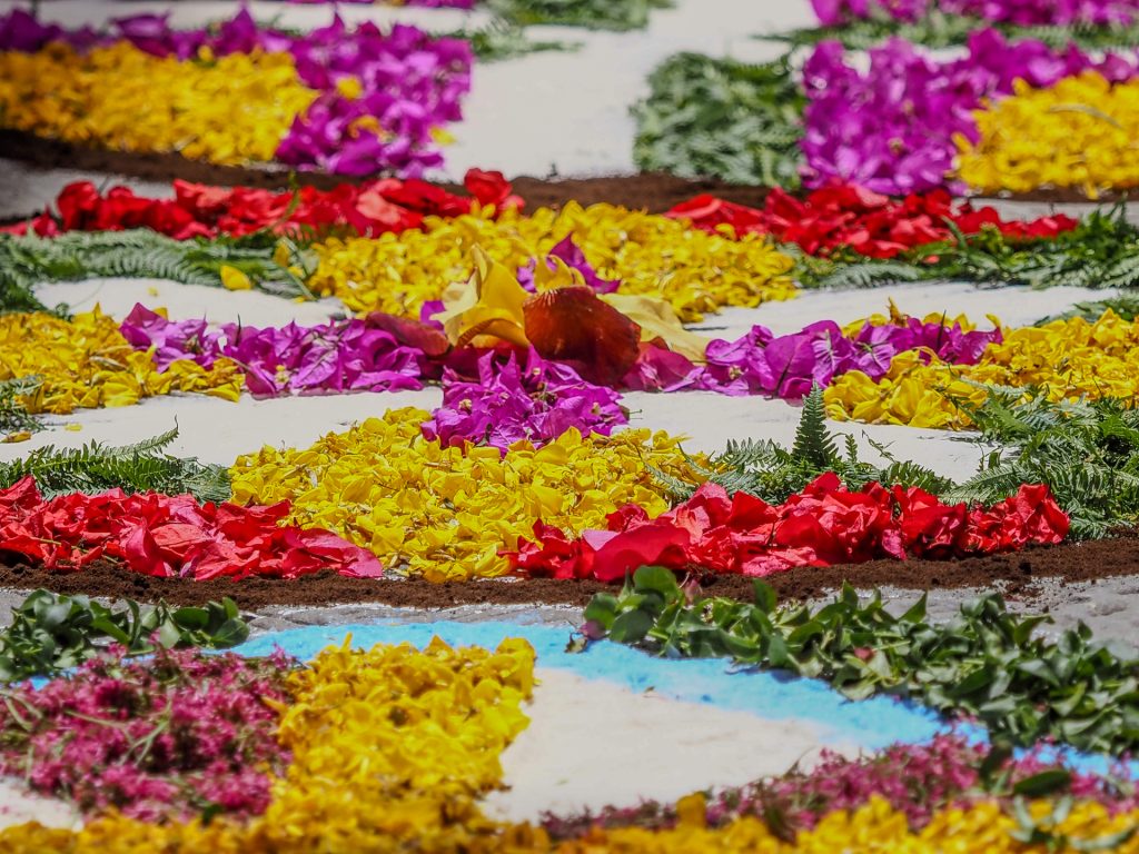 Colorful flower petals arranged in circular patterns on light pavement, with green ferns and bright hues of pink, yellow, red, and purple visible.