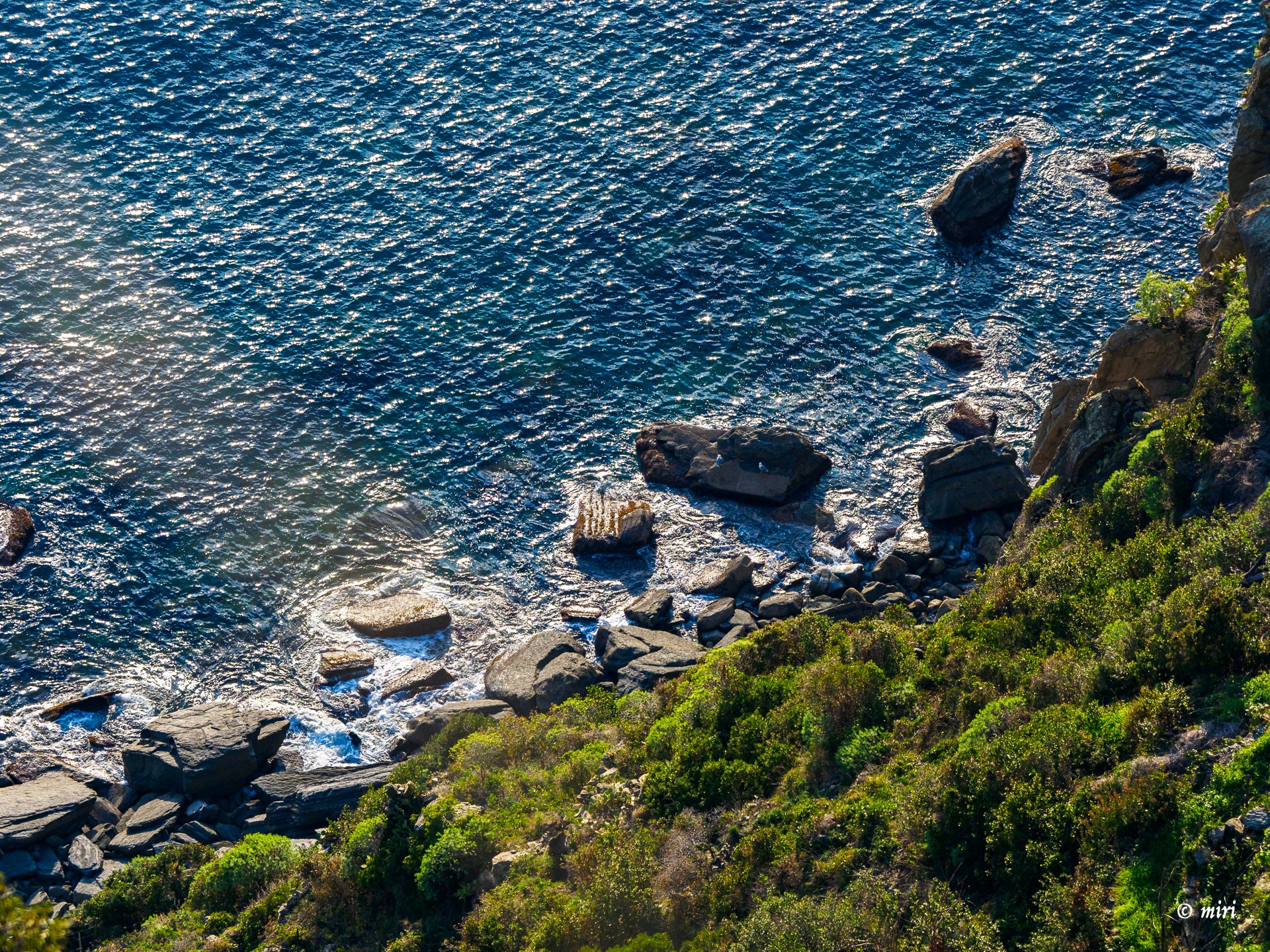 Coastal landscape with a rocky shoreline, clear blue sea, and green hillside vegetation, photographed from above in bright sunlight.