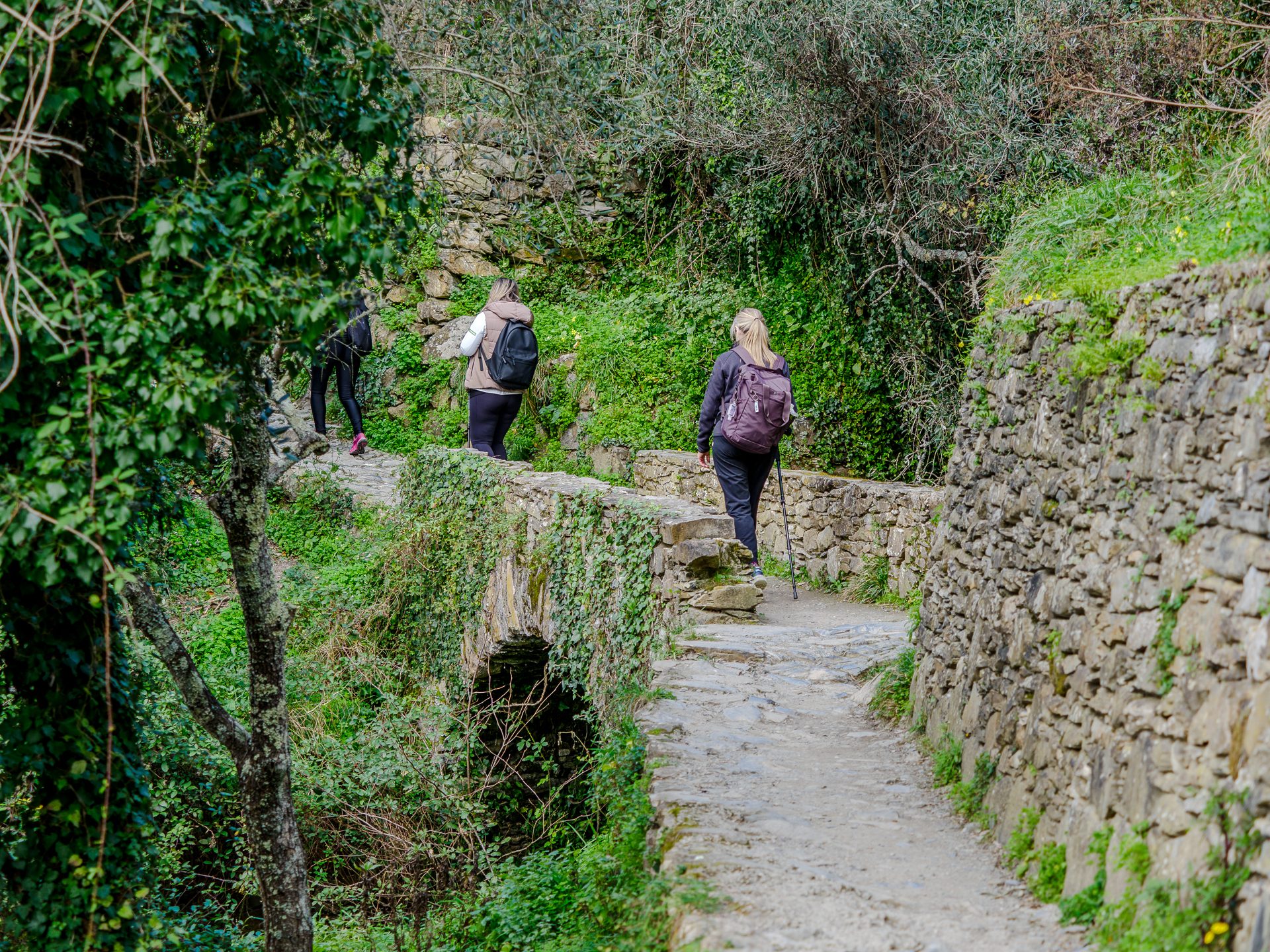 Senderismo en Corniglia