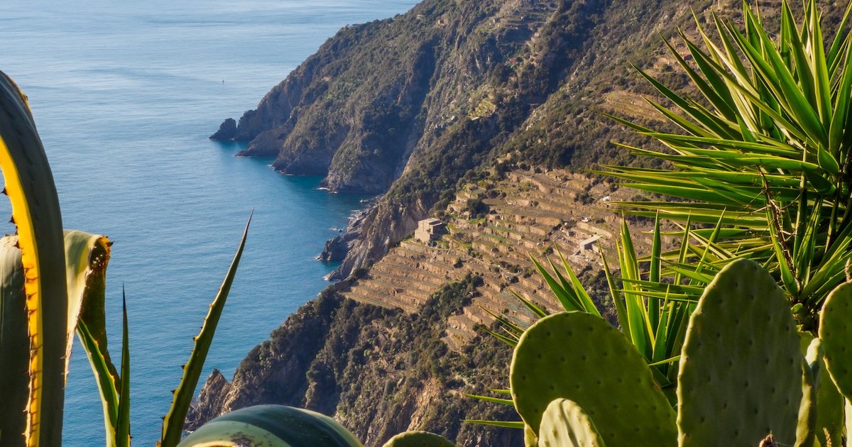 Cinque Terre vista desde arriba desde el sendero