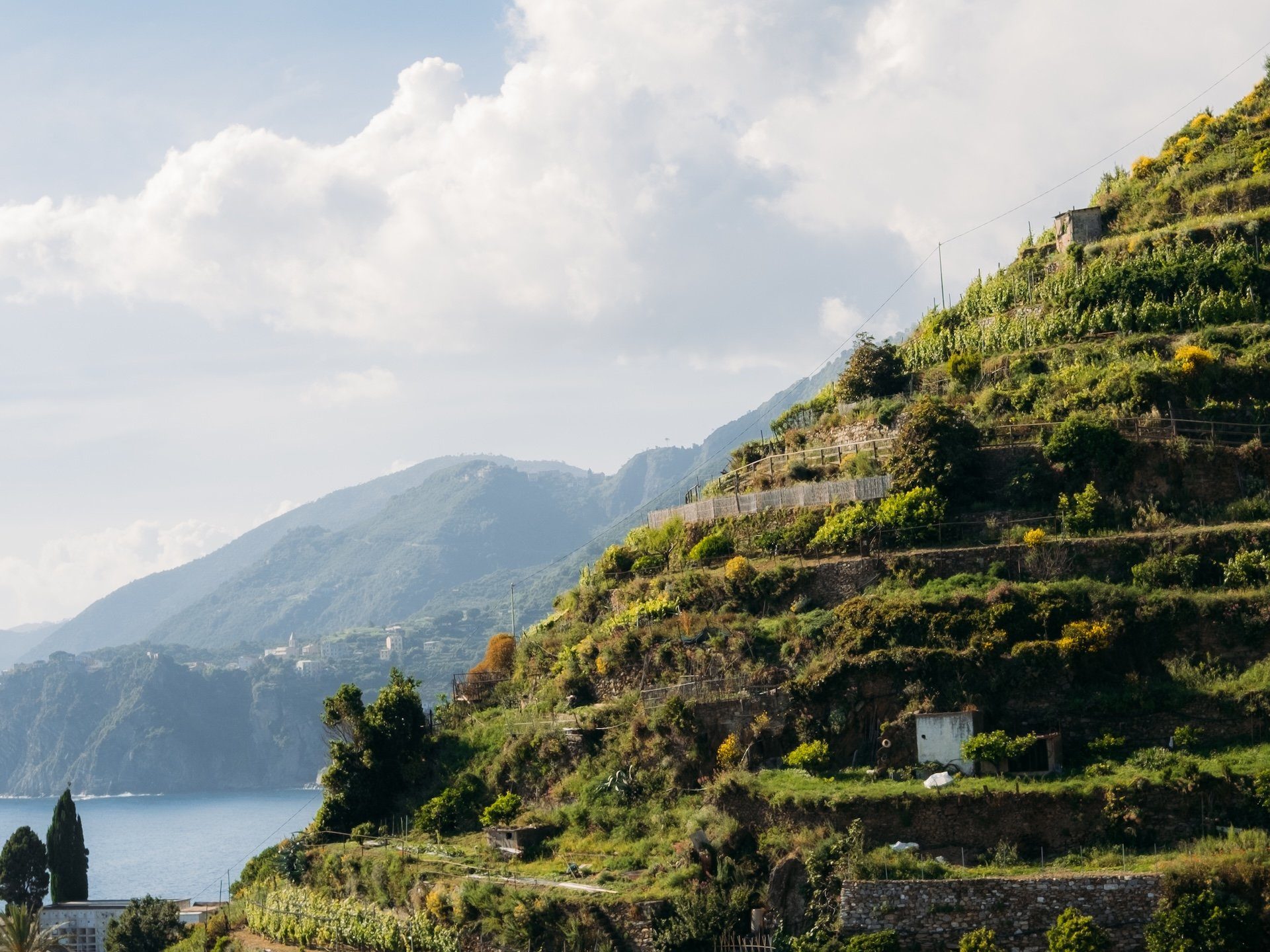 Una de las hermosas y frondosas colinas de las Cinque Terre.